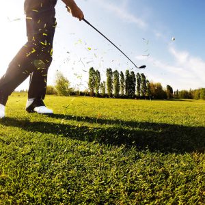 Adhésion individuelle