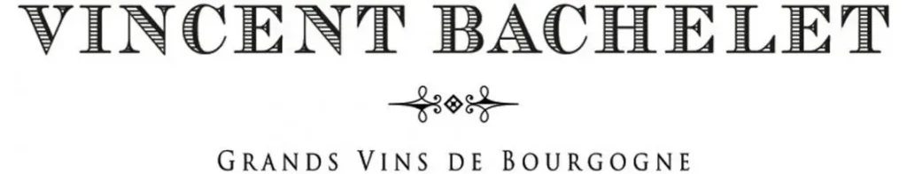 Domaine Vincent Bachelet : l’élégance des grands vins de Bourgogne